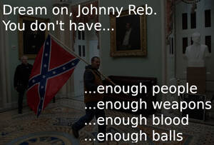 Johnny Reb insurrectionists are in oveir heads