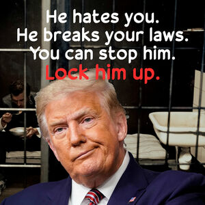 Donald Trump? Lock him up.